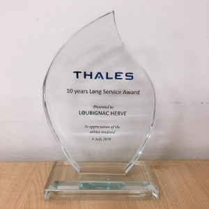 Tear Drop Crystal Plaque